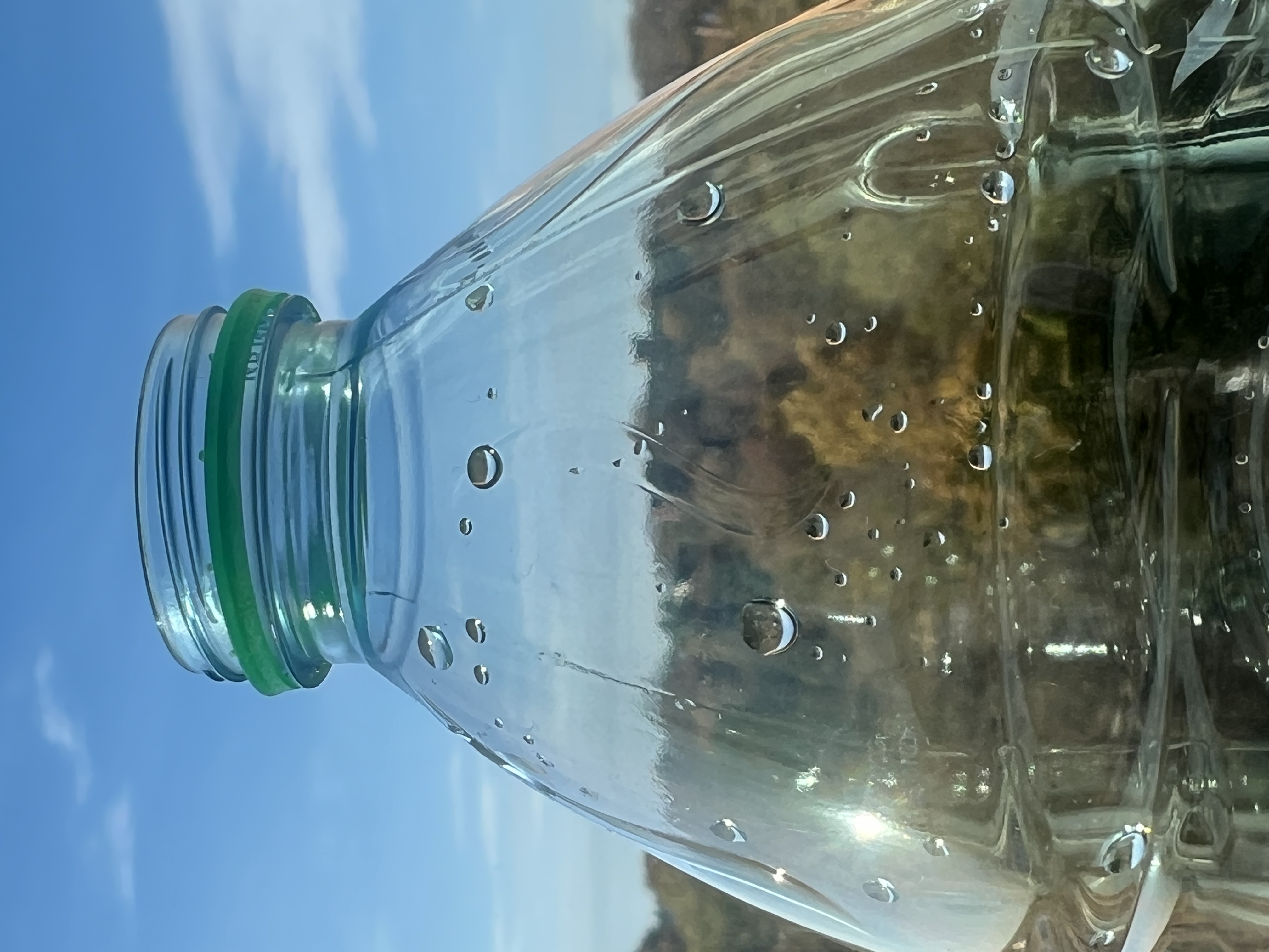 bottle